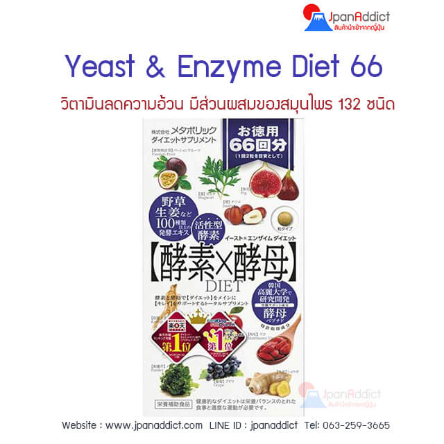 Yeast and Enzyme Diet